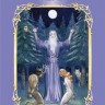 Sensual Wicca Tarot (Deluxe edition)
