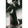 Murder of Crows Tarot (limited edition)