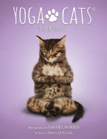 Yoga Cats Deck & Book Set