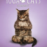 Yoga Cats Deck & Book Set