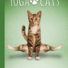 Yoga Cats Deck & Book Set