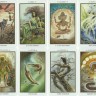 Animals Divine Tarot