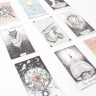 Wild Unknown Tarot