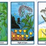 Herbal Tarot