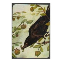 Rabbit Tarot Mini