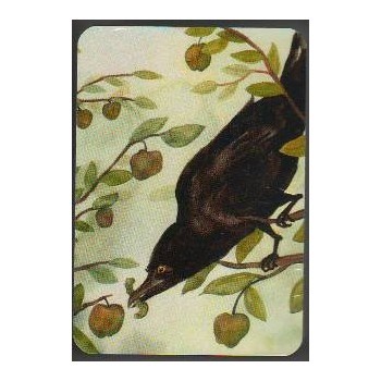 Rabbit Tarot Mini