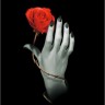 Дневник «Роза в руке»