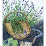 Herbcrafter’s Tarot