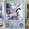 Spirit of the Wheel Meditation Deck