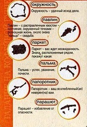 Гороскоп На 2024 Скорпион Кофейной Гуще