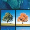 Ароматические палочки All Seasons