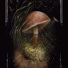 Midnight Magic: A Tarot Deck of Mushrooms