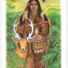 Vision Quest Tarot