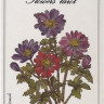 Tarot des Fleurs