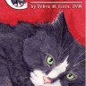 Cat's Eye Tarot