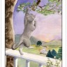 Cat's Eye Tarot