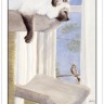 Cat's Eye Tarot