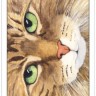 Cat's Eye Tarot