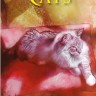 Cats. Inspirational Oracle Cards